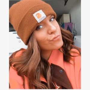 Meet your Posher, Jessie